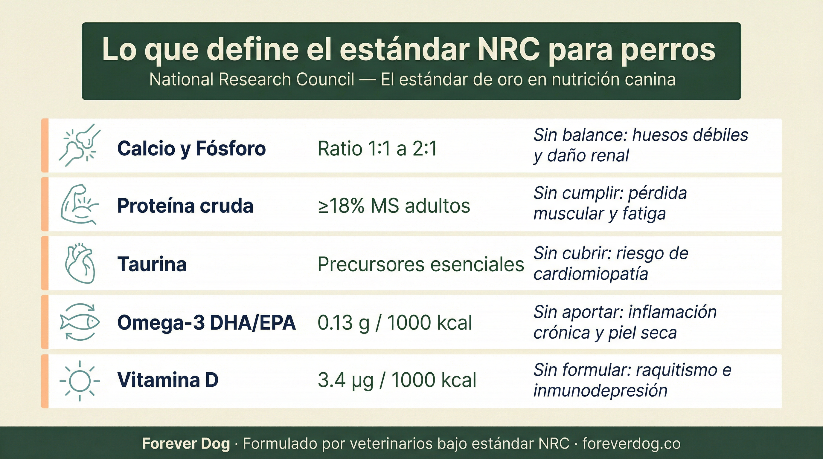 Infografía con los requerimientos NRC de calcio, fósforo, taurina, omega-3 y vitamina D para perros adultos — Forever Dog Colombia.